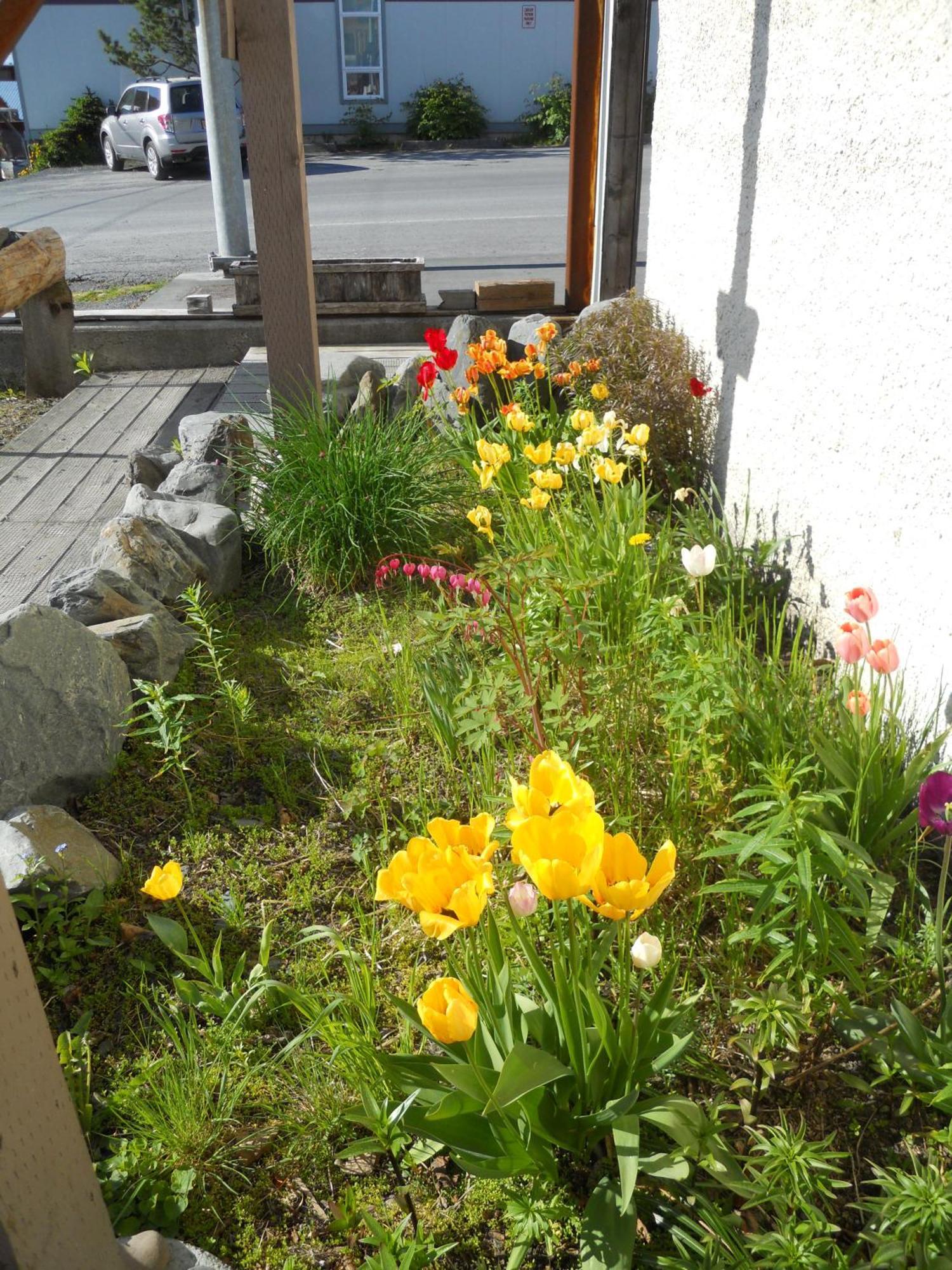 A Swan Nest Inn Seward Buitenkant foto